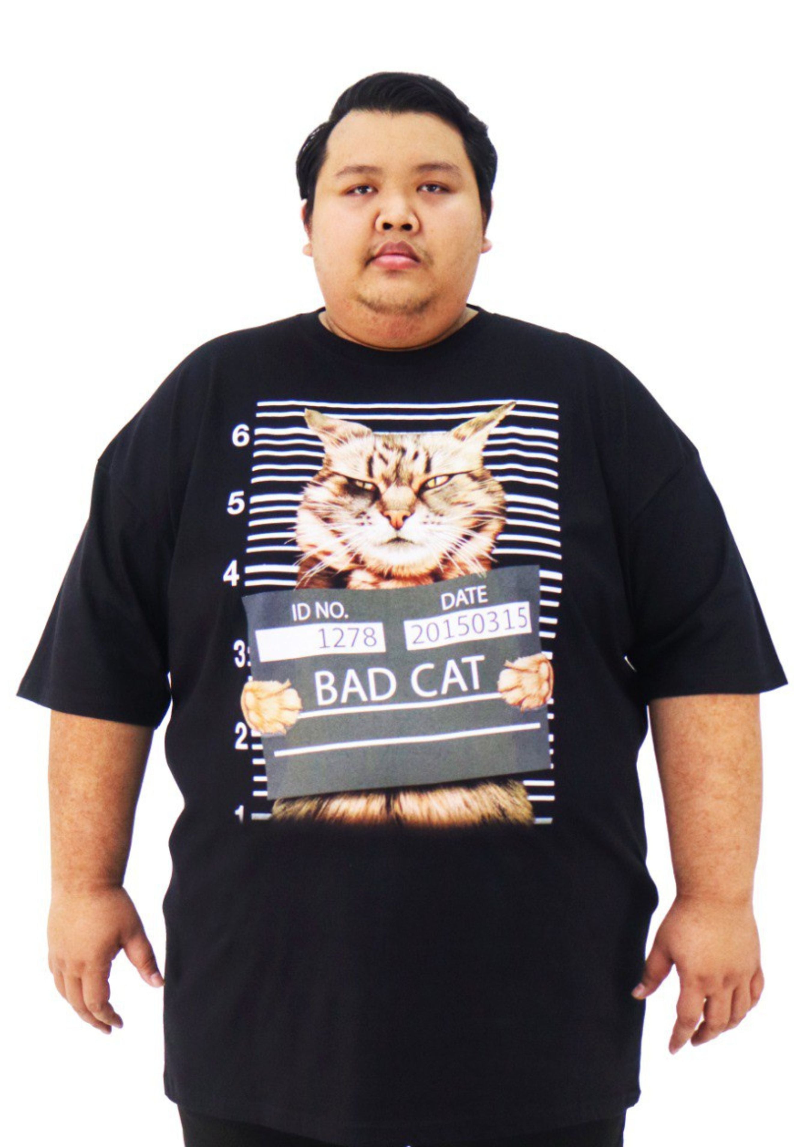 #design_bad cat